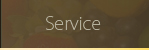 Service